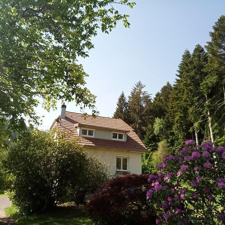 Vosges House 110 M2 In The Heart Of Nature L'Oree Du Bois Saint-Michel-sur-Meurthe エクステリア 写真