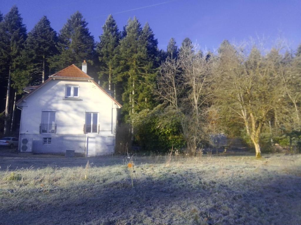 Vosges House 110 M2 In The Heart Of Nature L'Oree Du Bois Saint-Michel-sur-Meurthe エクステリア 写真