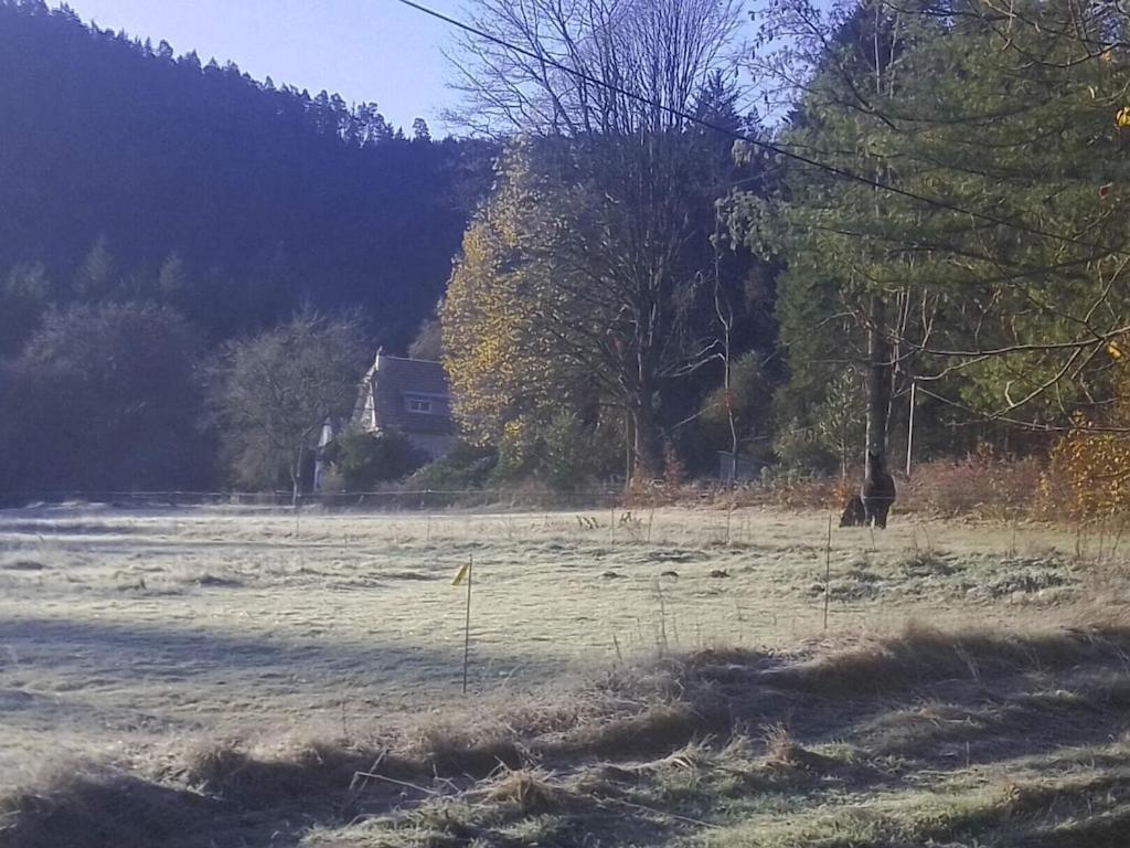 Vosges House 110 M2 In The Heart Of Nature L'Oree Du Bois Saint-Michel-sur-Meurthe エクステリア 写真