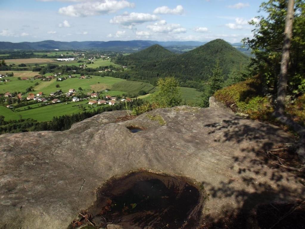 Vosges House 110 M2 In The Heart Of Nature L'Oree Du Bois Saint-Michel-sur-Meurthe エクステリア 写真