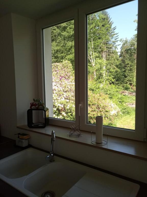 Vosges House 110 M2 In The Heart Of Nature L'Oree Du Bois Saint-Michel-sur-Meurthe エクステリア 写真