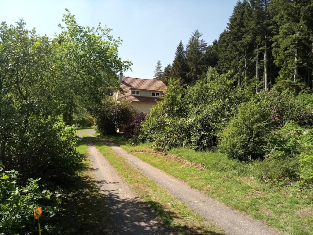 Vosges House 110 M2 In The Heart Of Nature L'Oree Du Bois Saint-Michel-sur-Meurthe エクステリア 写真