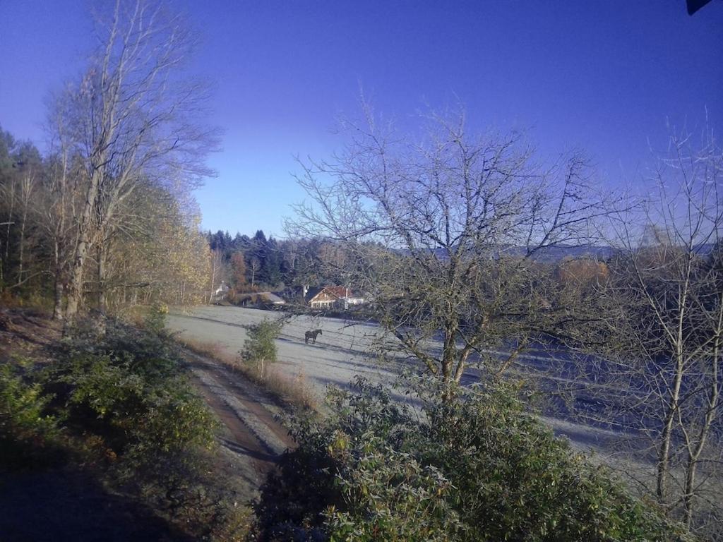 Vosges House 110 M2 In The Heart Of Nature L'Oree Du Bois Saint-Michel-sur-Meurthe エクステリア 写真