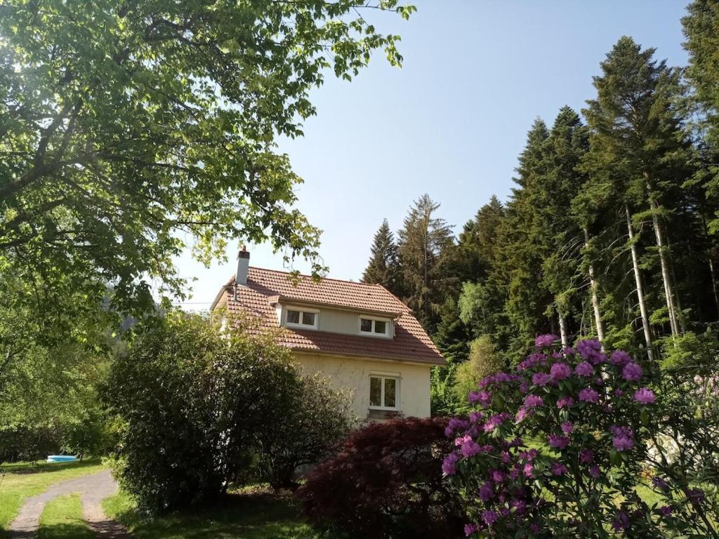 Vosges House 110 M2 In The Heart Of Nature L'Oree Du Bois Saint-Michel-sur-Meurthe エクステリア 写真