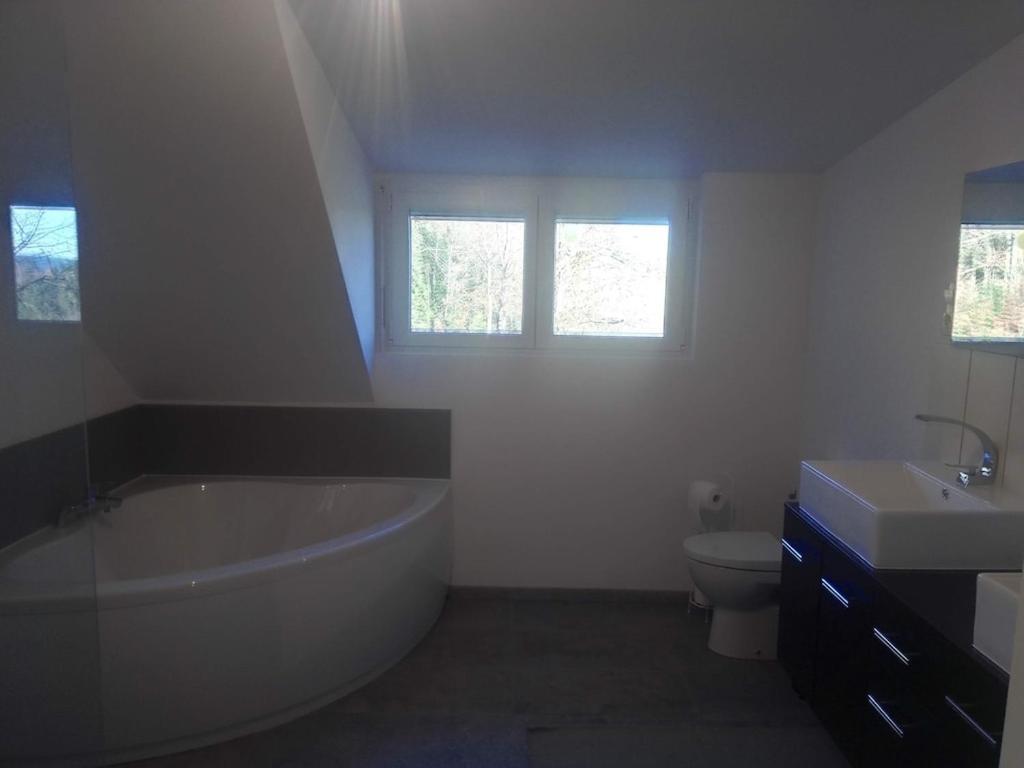 Vosges House 110 M2 In The Heart Of Nature L'Oree Du Bois Saint-Michel-sur-Meurthe エクステリア 写真