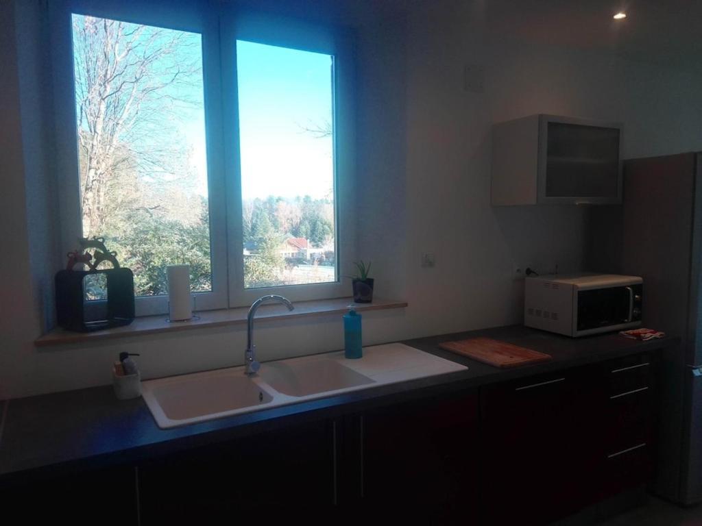 Vosges House 110 M2 In The Heart Of Nature L'Oree Du Bois Saint-Michel-sur-Meurthe エクステリア 写真