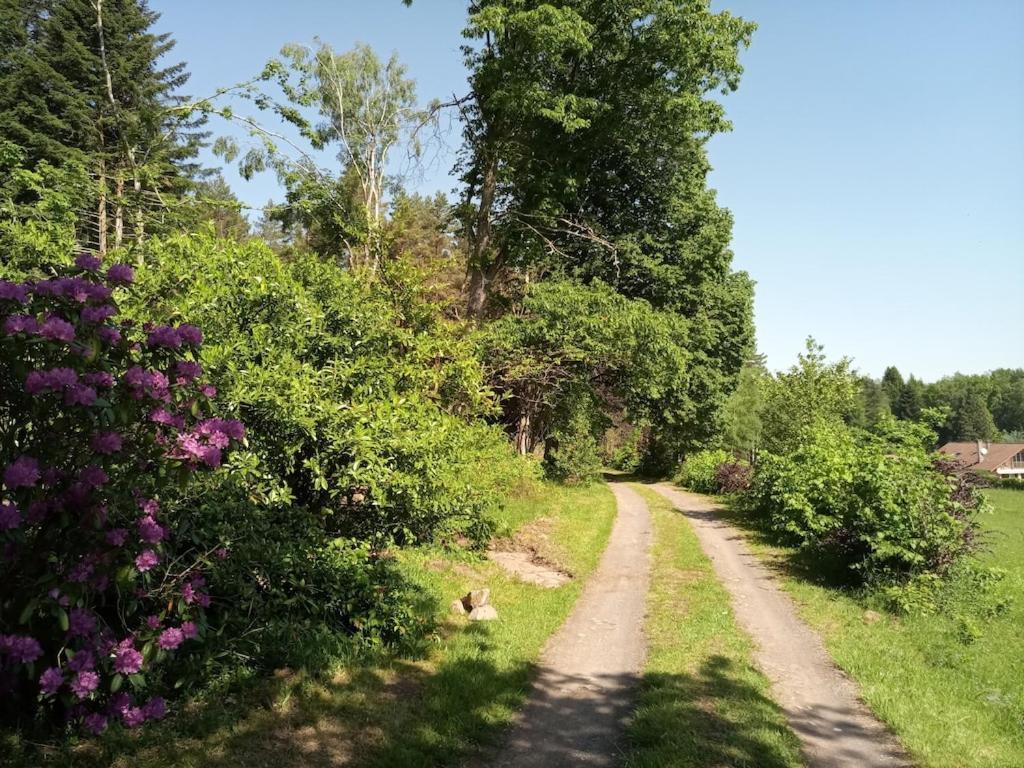 Vosges House 110 M2 In The Heart Of Nature L'Oree Du Bois Saint-Michel-sur-Meurthe エクステリア 写真