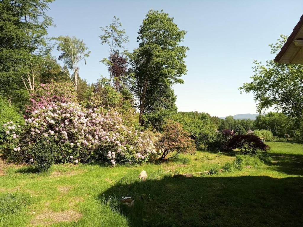 Vosges House 110 M2 In The Heart Of Nature L'Oree Du Bois Saint-Michel-sur-Meurthe エクステリア 写真