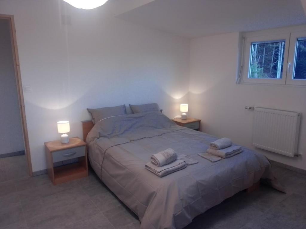 Vosges House 110 M2 In The Heart Of Nature L'Oree Du Bois Saint-Michel-sur-Meurthe エクステリア 写真