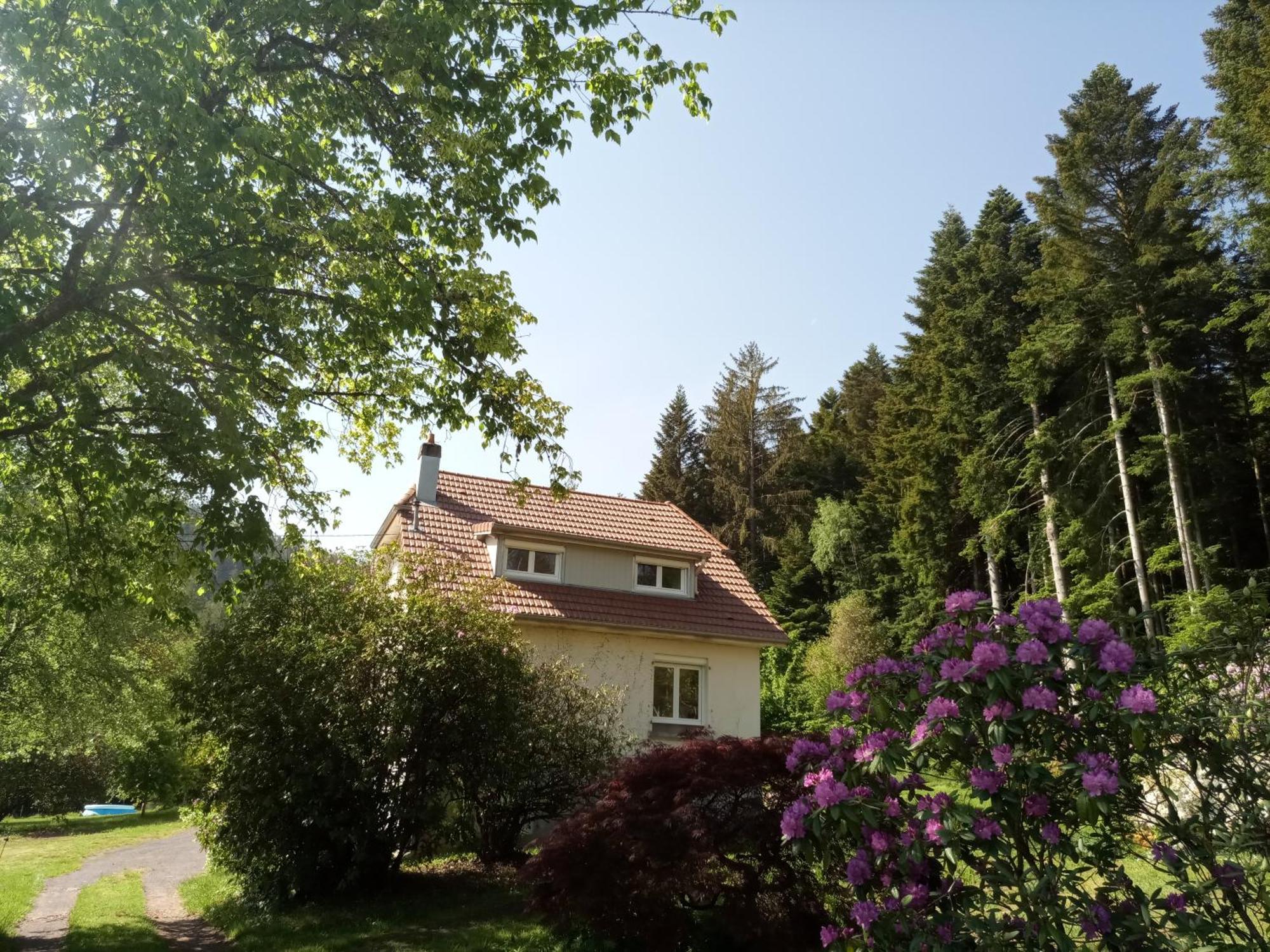Vosges House 110 M2 In The Heart Of Nature L'Oree Du Bois Saint-Michel-sur-Meurthe エクステリア 写真